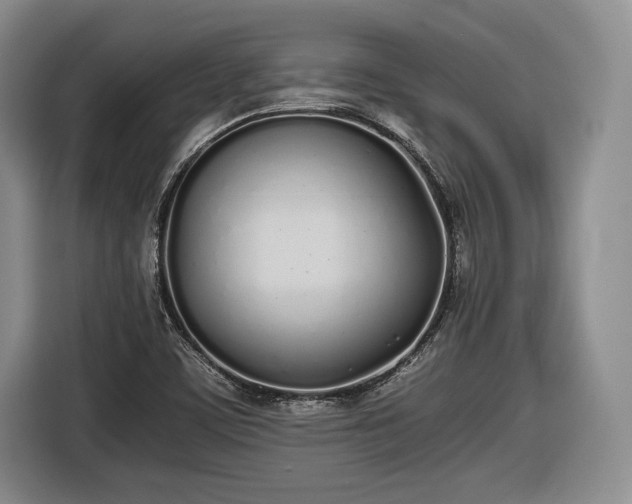X0000116461459200912161222