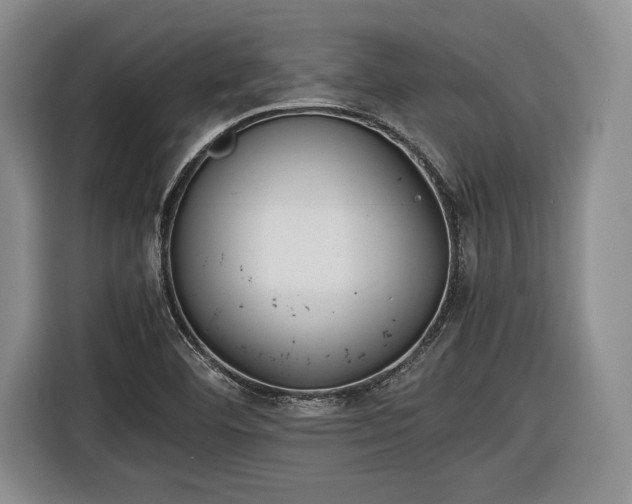 X0000116461460200912161222