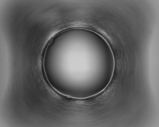 X0000116461463200912161222
