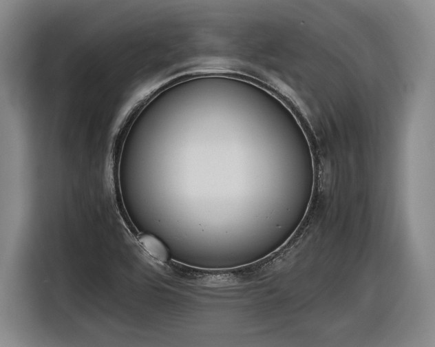 X0000116461464200912161222