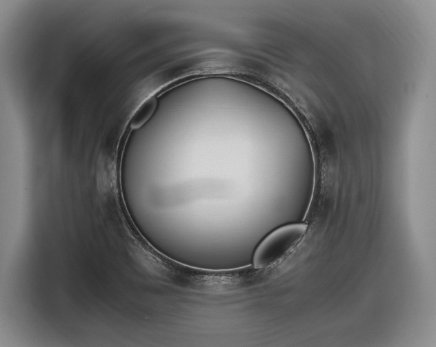 X0000116461465200912161222