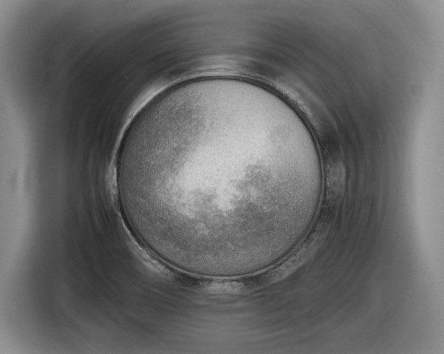 X0000116461466200912161222