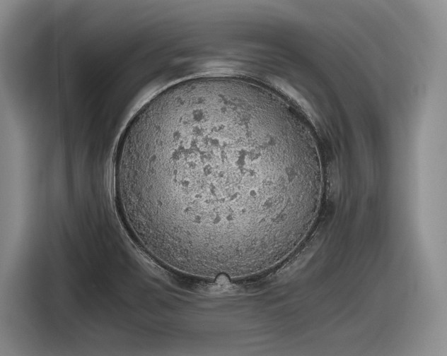 X0000116461467200912161222