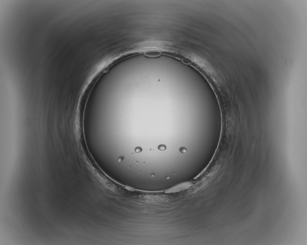 X0000116461469200912161222