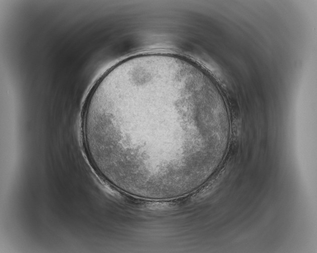 X0000116461470200912161222