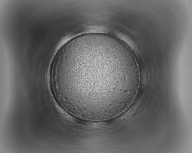 X0000116461471200912161222