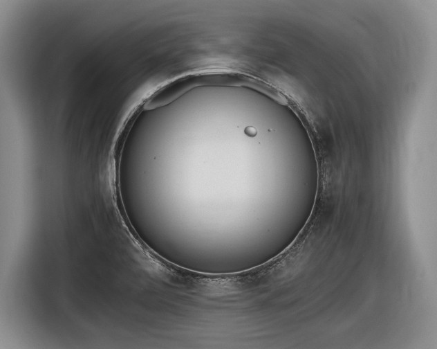 X0000116461472200912161222