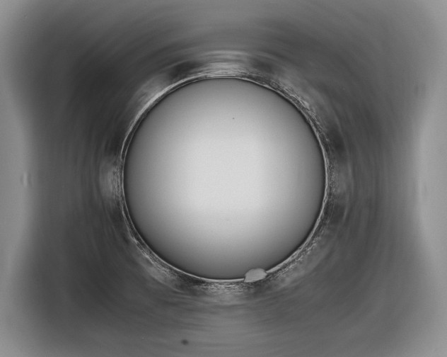 X0000116461473200912161222