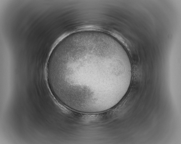 X0000116461474200912161222