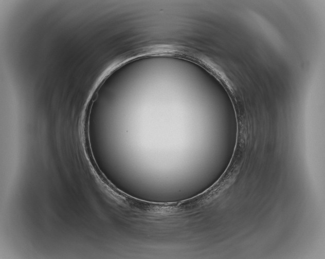 X0000116461475200912161222