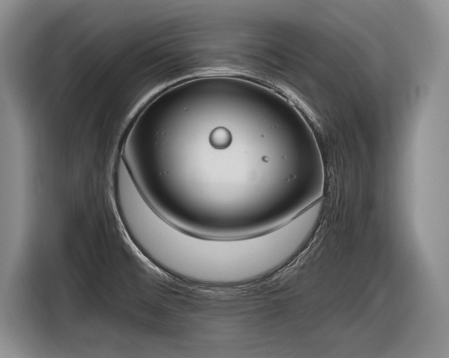 X0000116461476200912161222