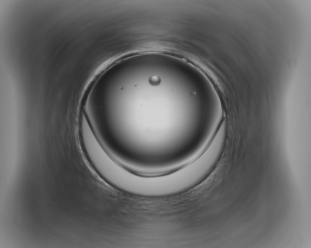 X0000116461477200912161222