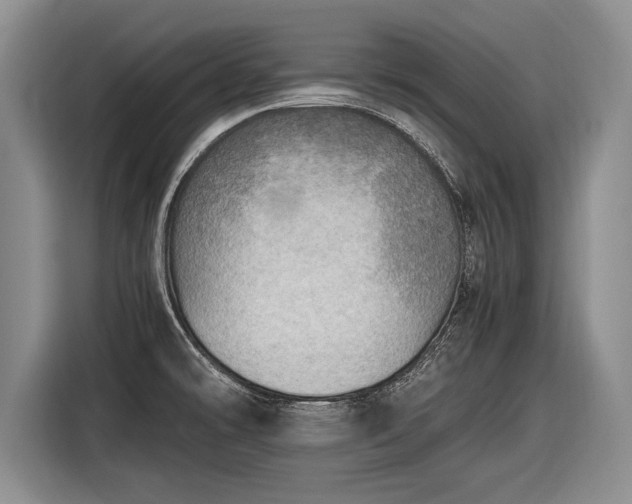 X0000116461478200912161222