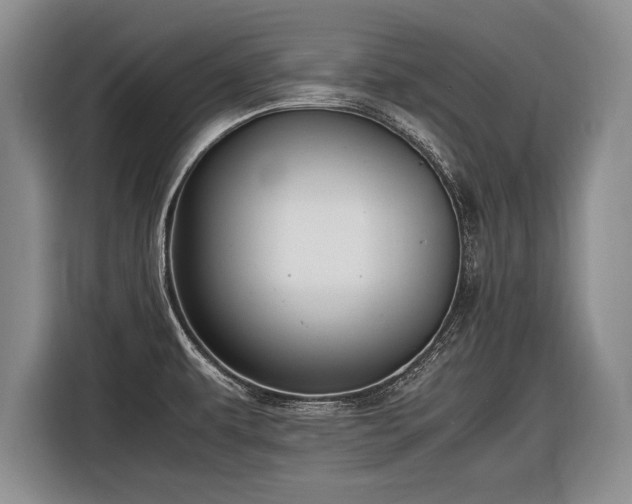 X0000116461479200912161222