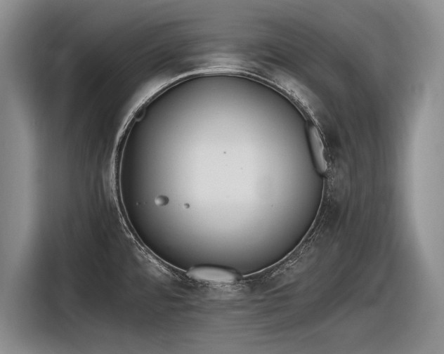 X0000116461480200912161222