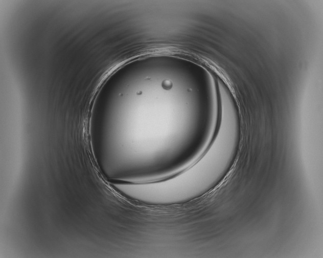 X0000116461481200912161222