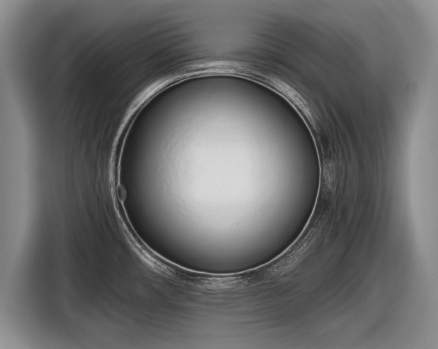X0000116461482200912161222
