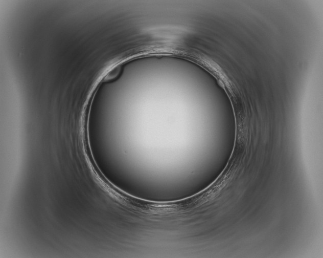 X0000116461483200912161222