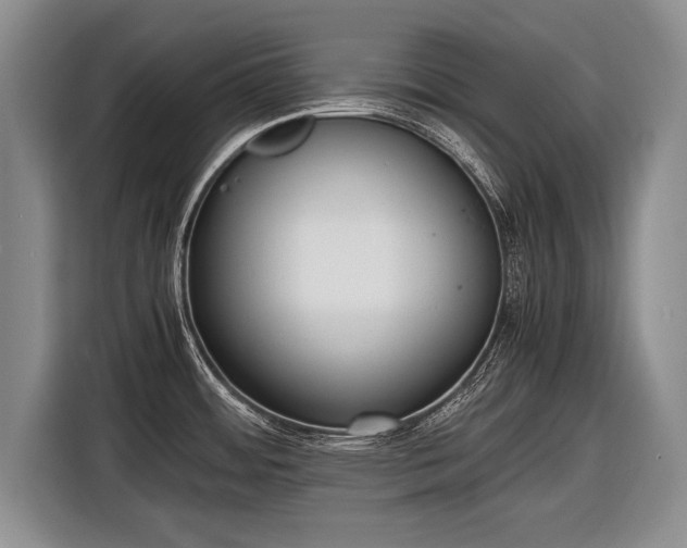 X0000116461484200912161222