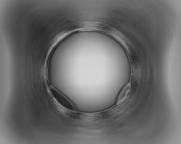 X0000116461485200912161222