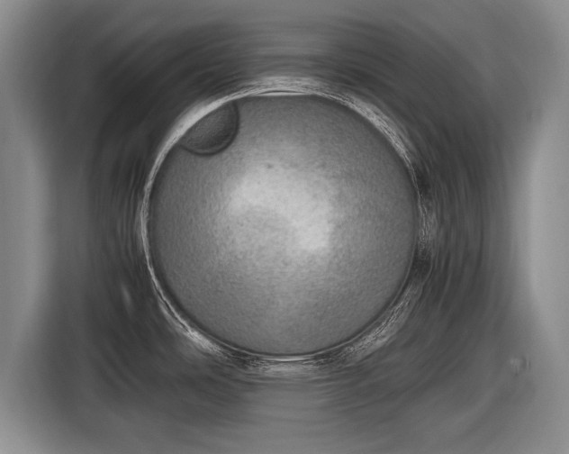 X0000116461486200912161222