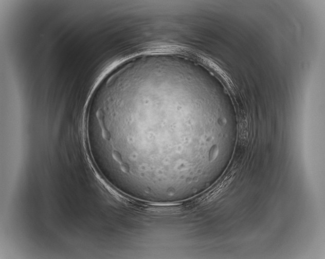 X0000116461487200912161222