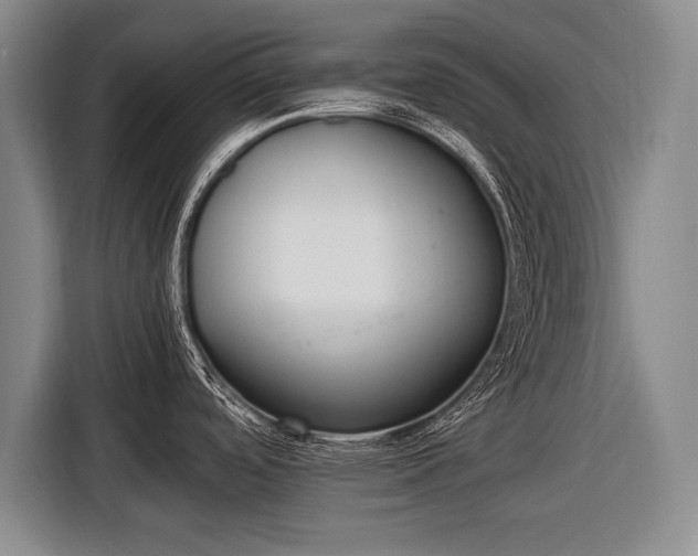 X0000116461488200912161222