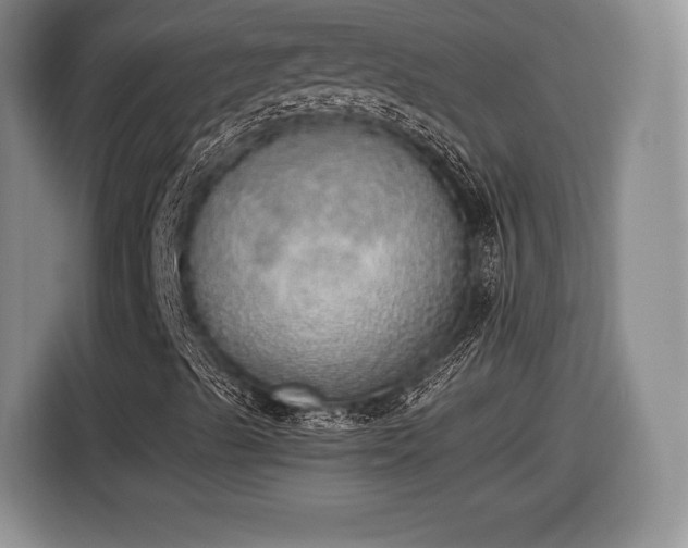 X0000116461489200912161221