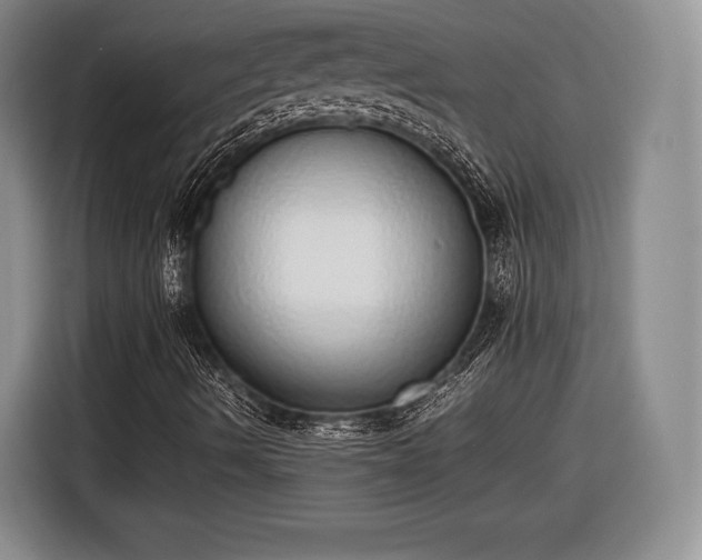 X0000116461490200912161221