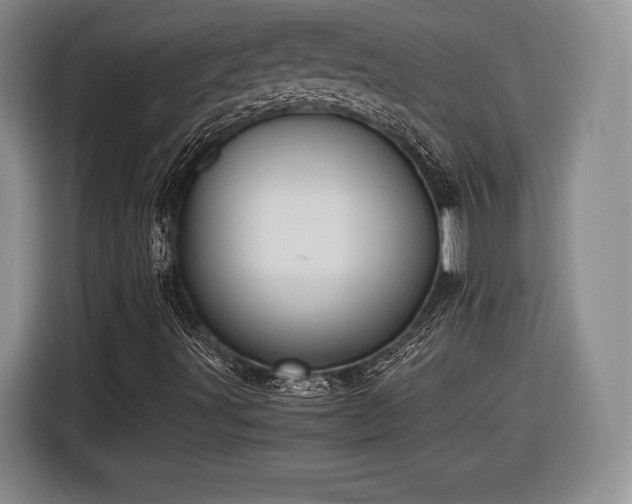 X0000116461491200912161221