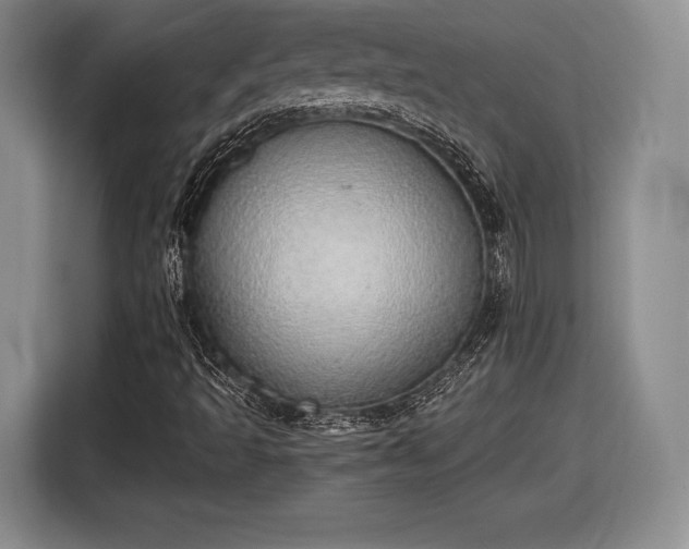 X0000116461493200912161221