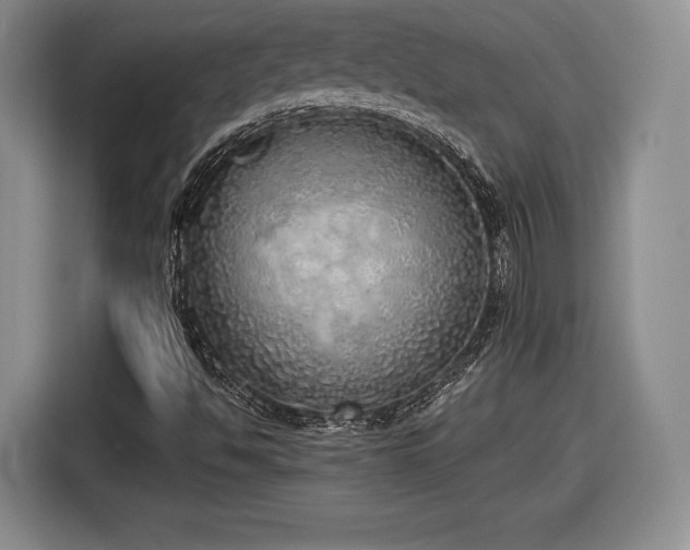X0000116461494200912161221