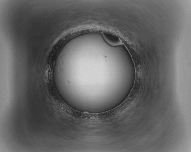X0000116461495200912161221