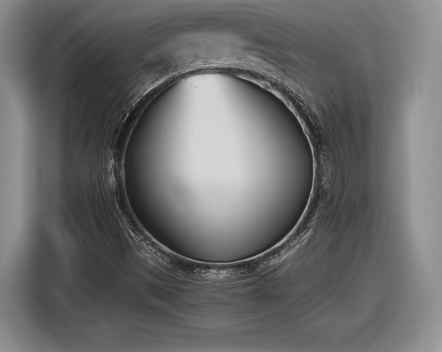 X0000116461497200912161221