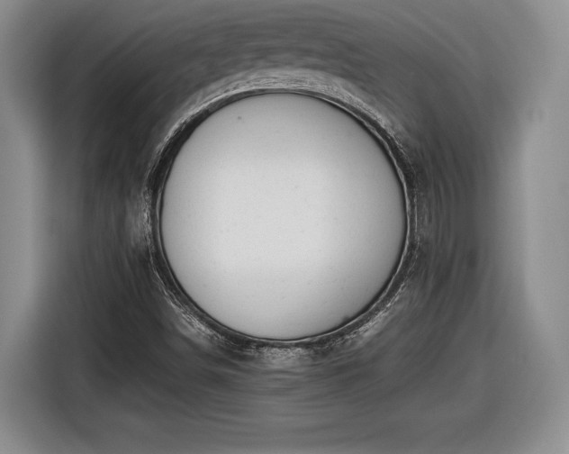 X0000116461498200912161221