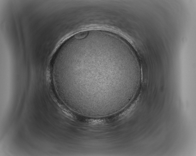X0000116461501200912161222