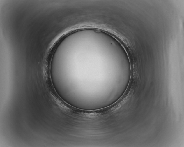 X0000116461502200912161222