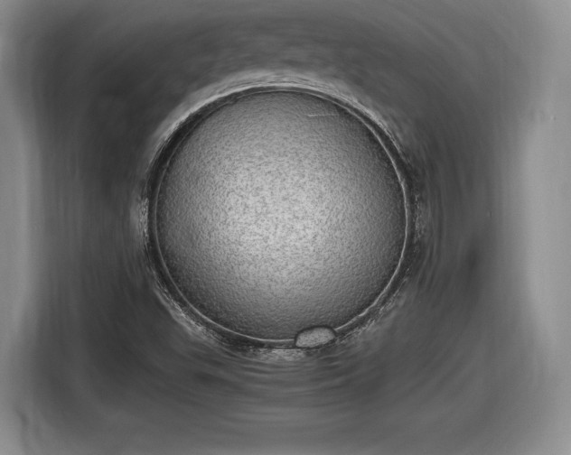 X0000116461503200912161222