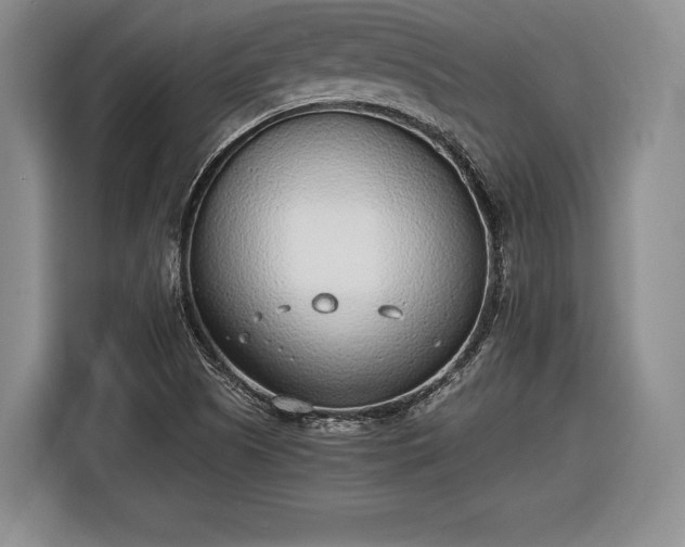 X0000116461505200912161222