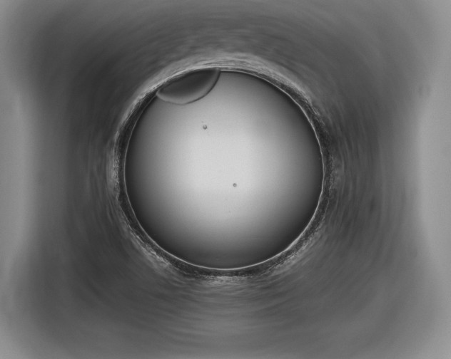 X0000116461506200912161222