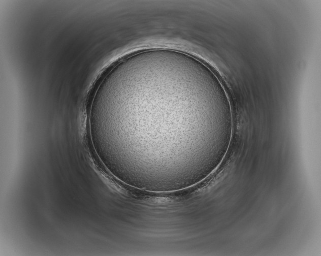 X0000116461507200912161222