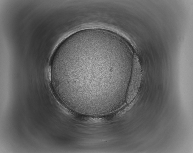 X0000116461509200912161222
