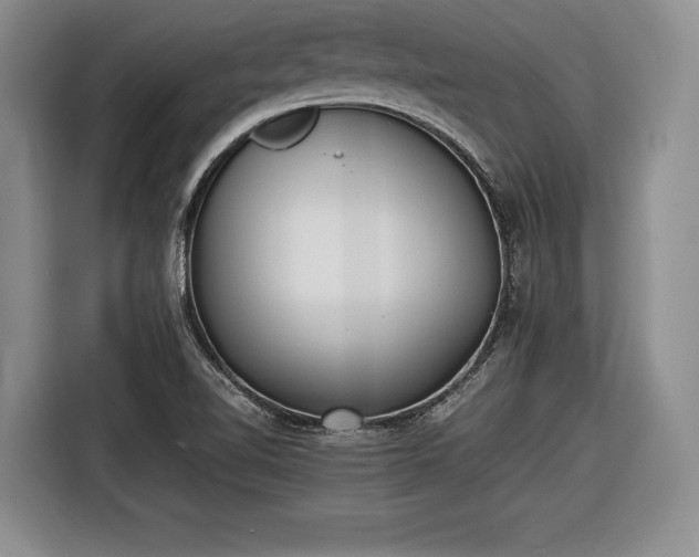 X0000116461510200912161222