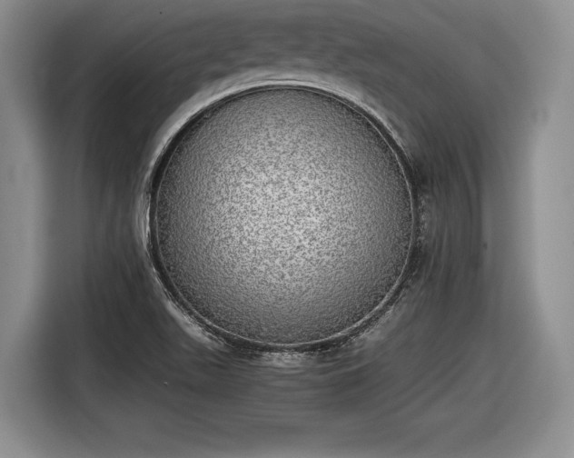 X0000116461511200912161222