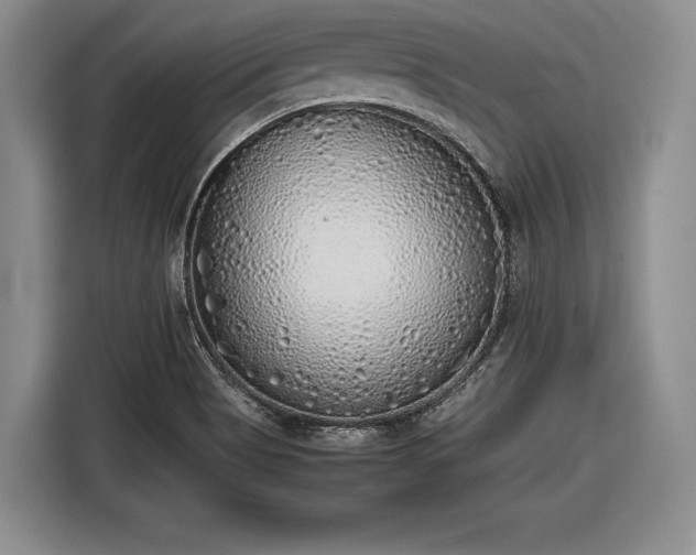 X0000116461513200912161222