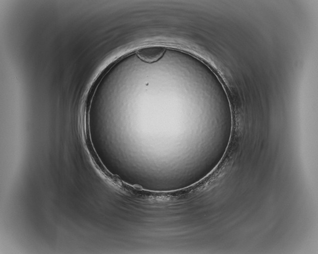 X0000116461515200912161222