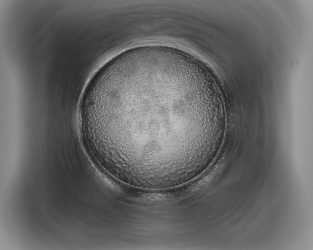 X0000116461517200912161222