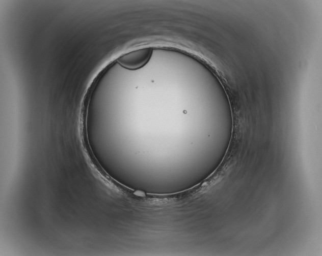 X0000116461518200912161222