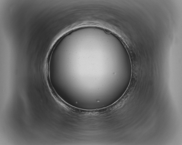 X0000116461519200912161222