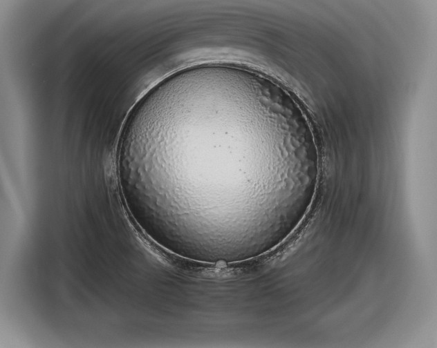 X0000116461521200912161222